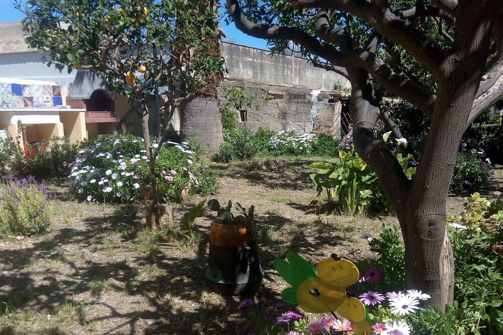 Photo of Outdoor in Macari