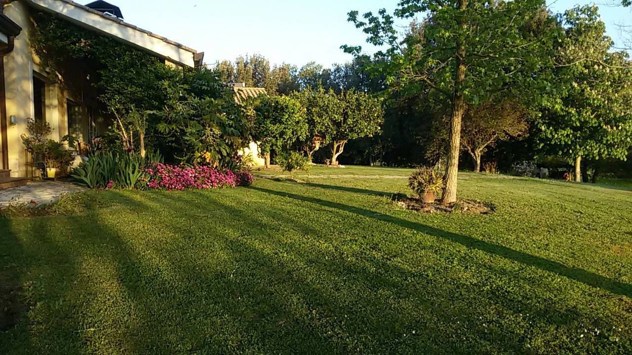 Photo of Outdoor in Tragliatella