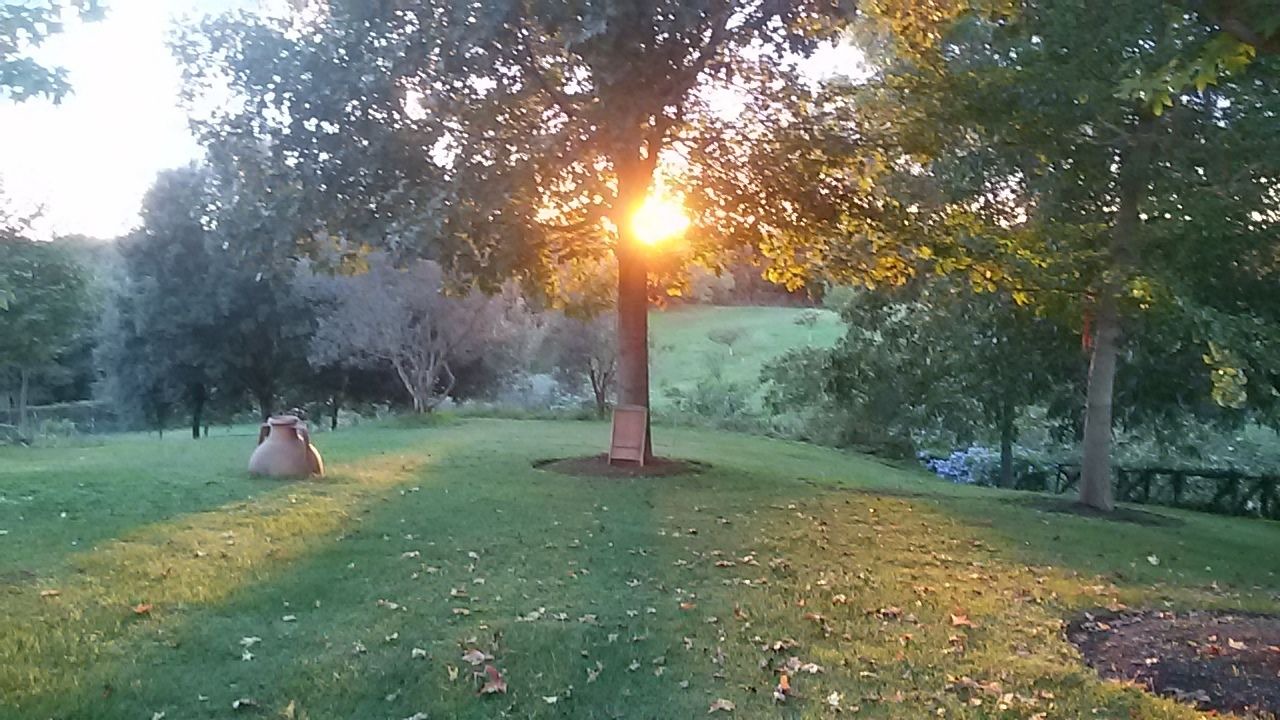 Photo of Outdoor in Tragliatella