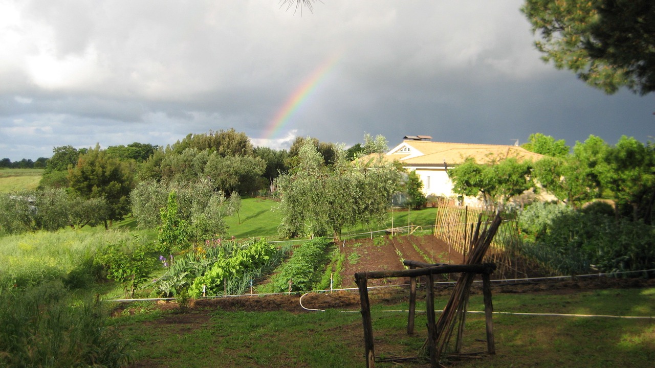 Photo of Others in Tragliatella