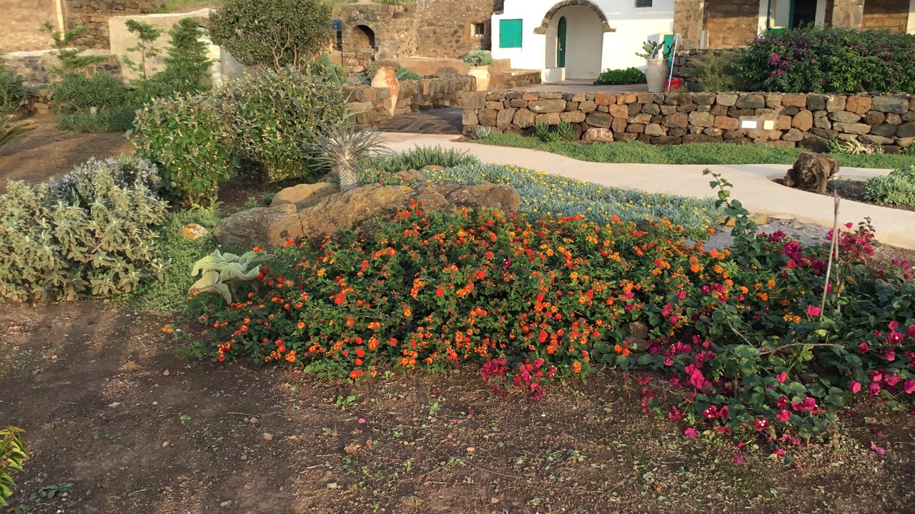 Photo of Outdoor in Pantelleria