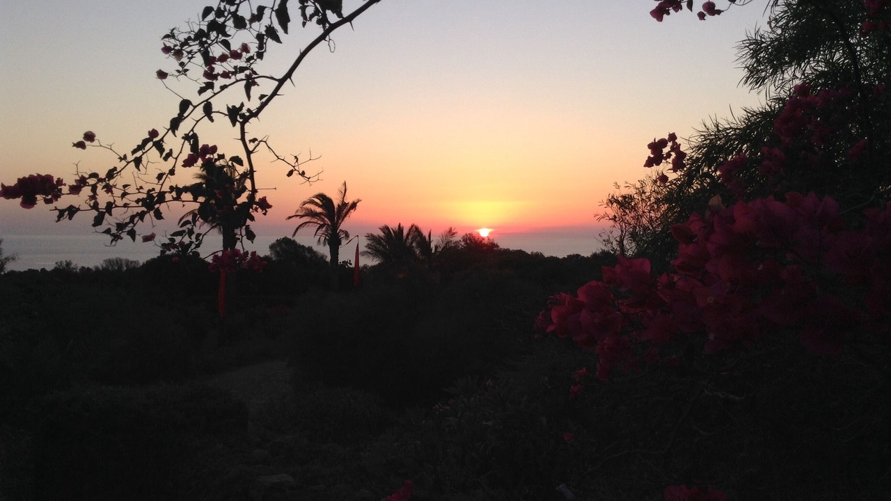 Photo of Outdoor in Pantelleria