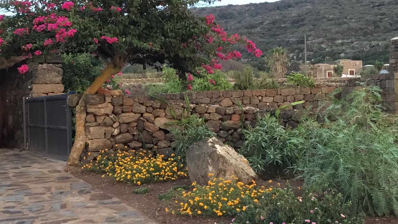 Photo of Outdoor in Pantelleria