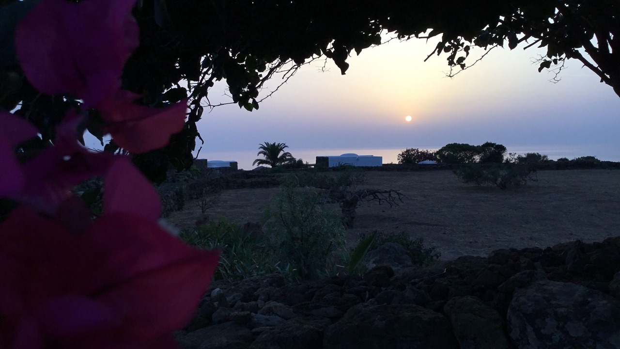 Photo of Others in Pantelleria