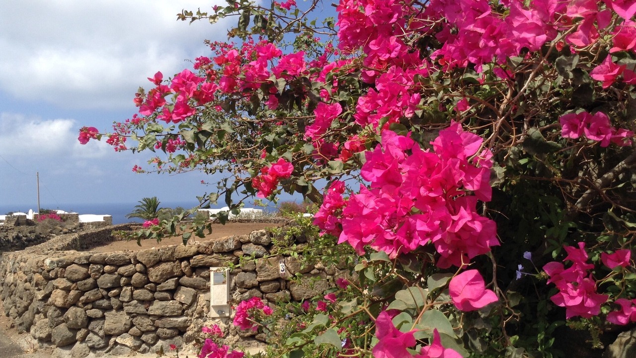 Photo of Outdoor in Pantelleria