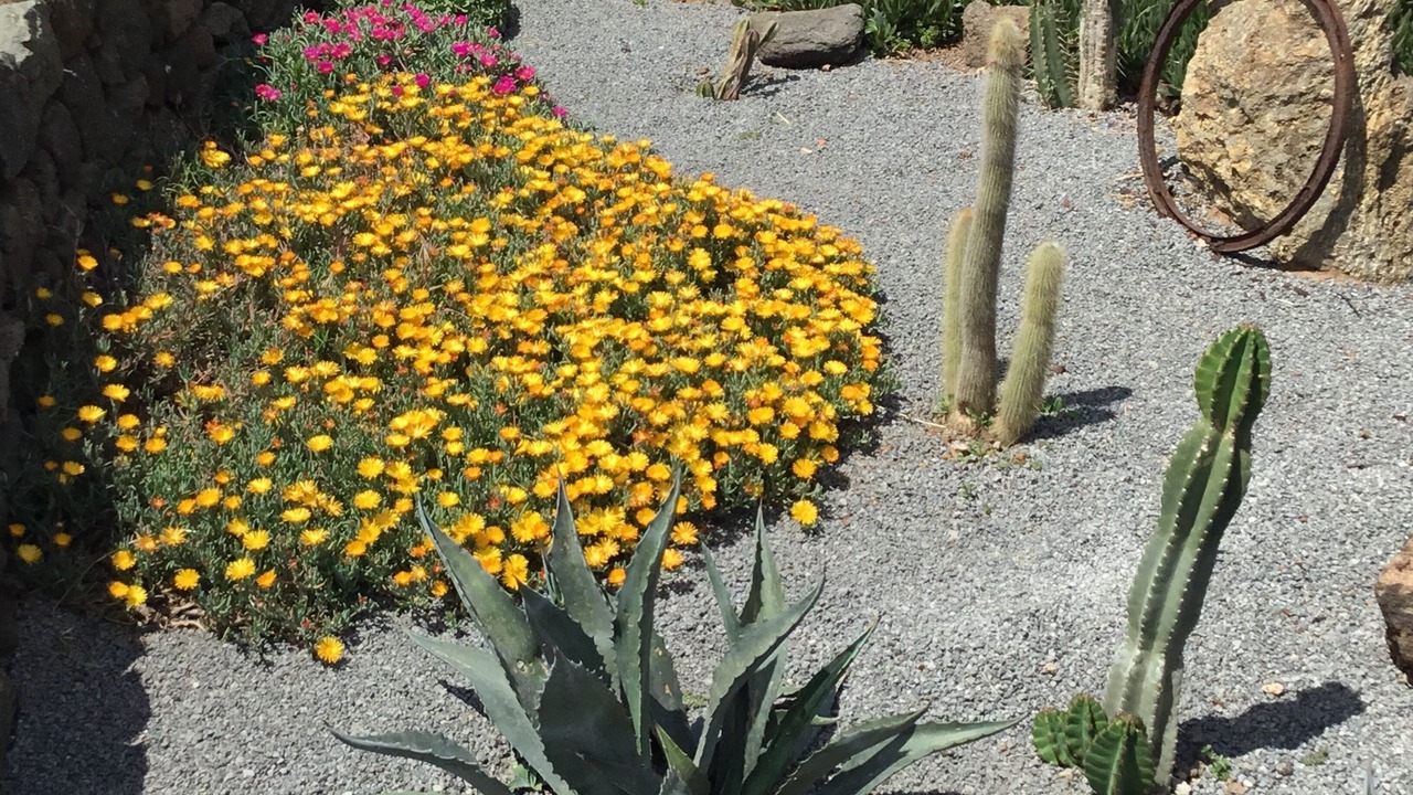 Photo of Outdoor in Pantelleria