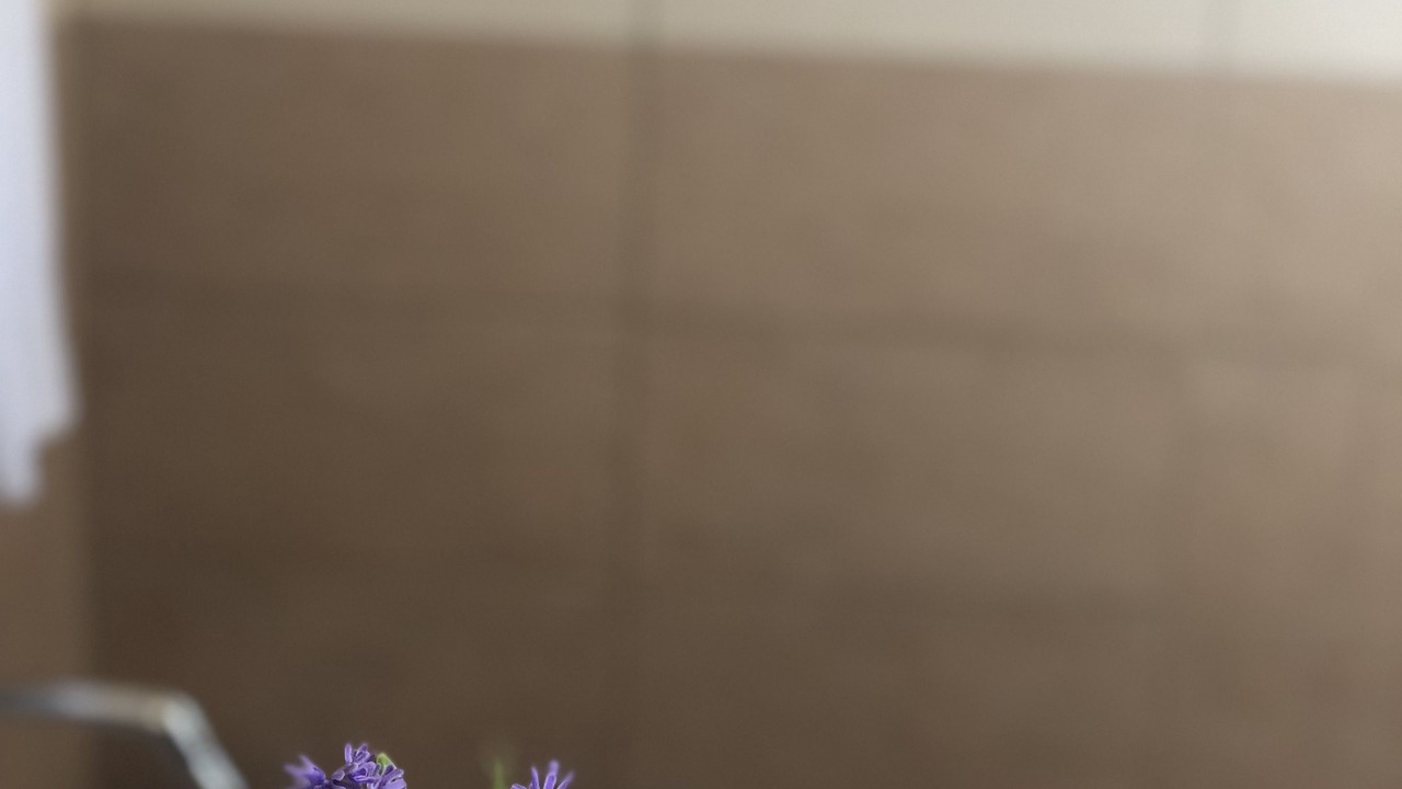 Photo of Bathroom in Licata