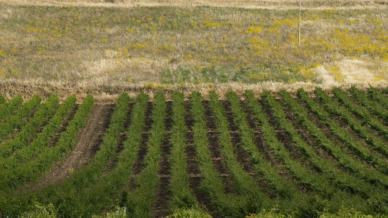 Photo of Outdoor in Buseto Palizzolo