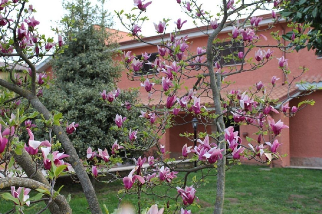 Photo of Outdoor in Colle Spina
