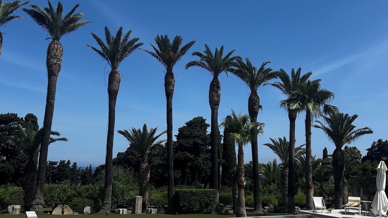 Photo of Outdoor in Valderice