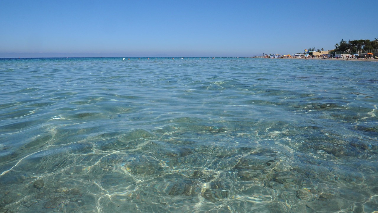 Photo of Others in Marsala