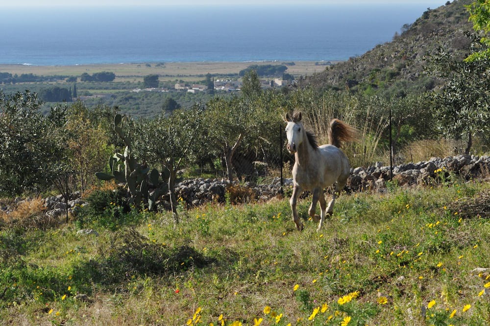 Photo of Outdoor in Castelluzzo
