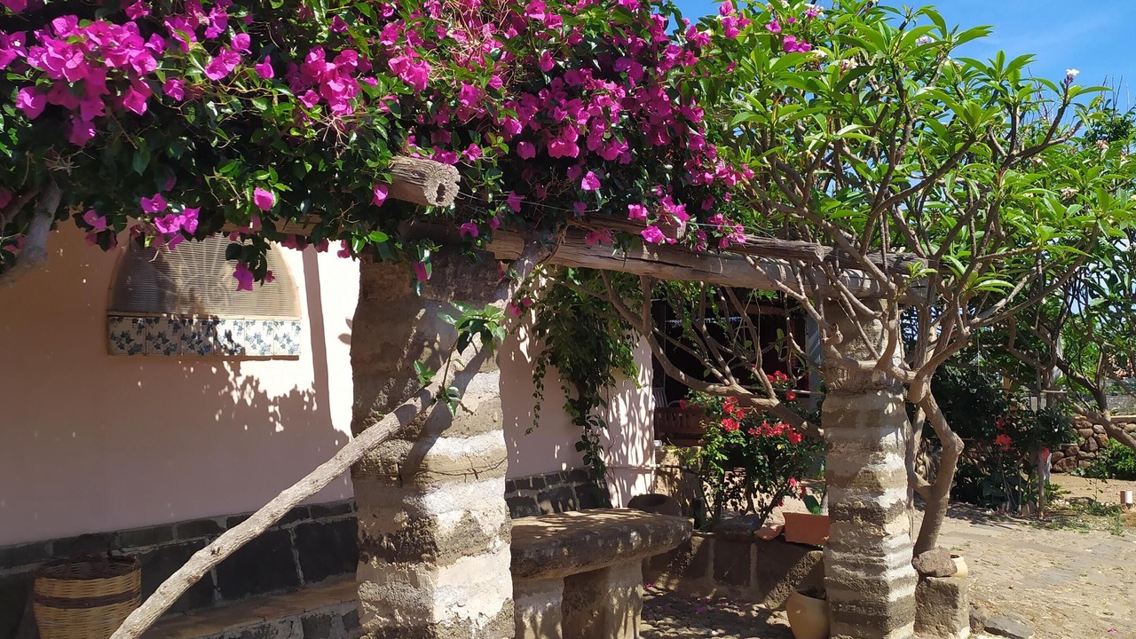 Photo of Outdoor in Ustica