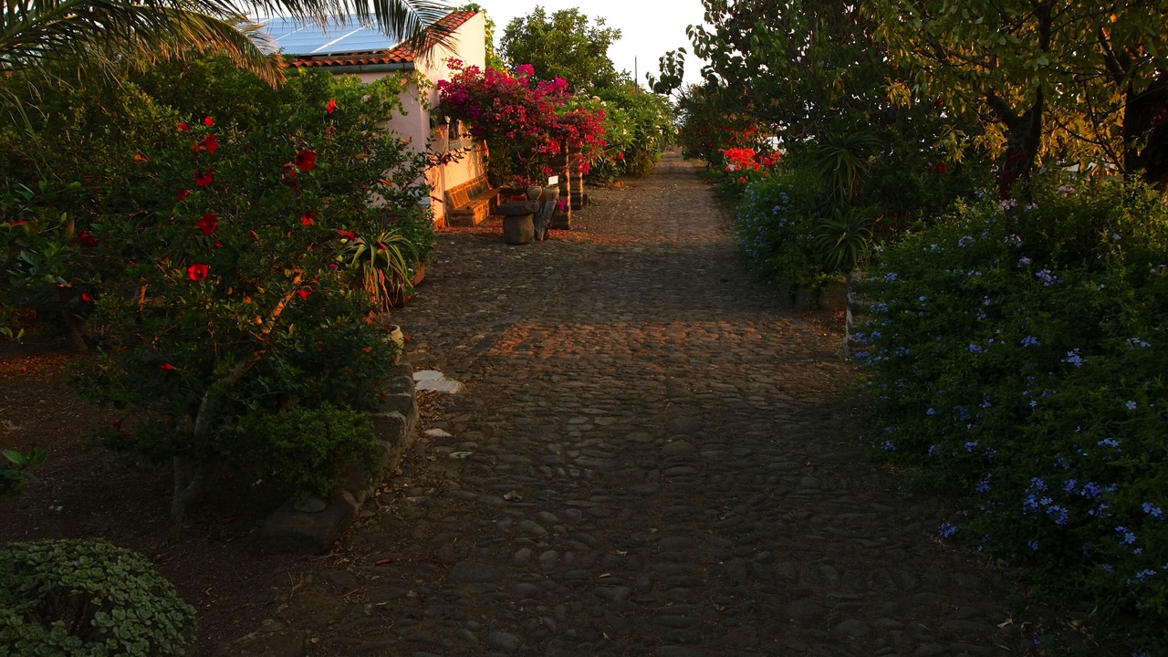 Photo of Outdoor in Ustica