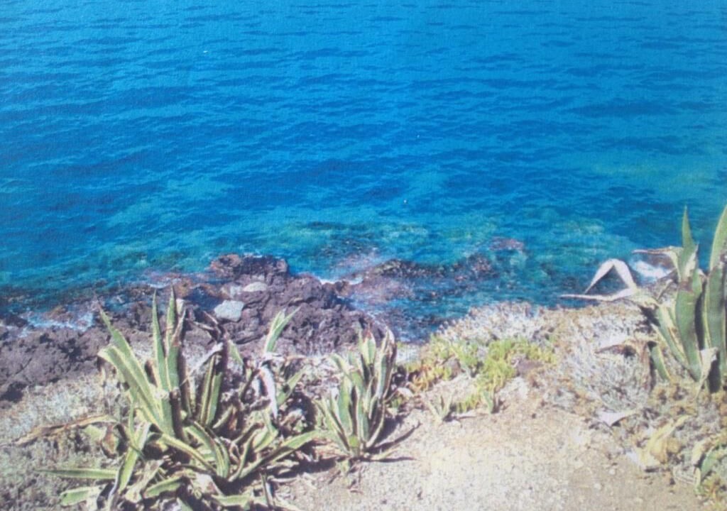 Photo of Others in Pantelleria