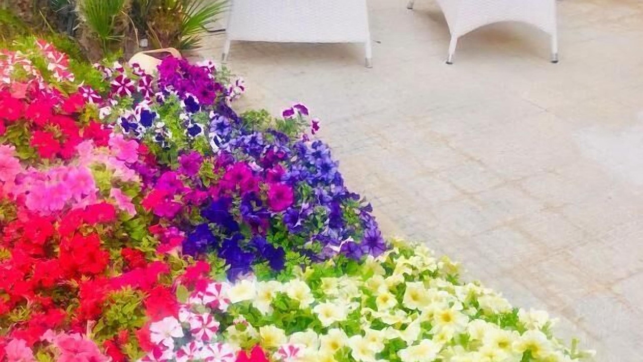 Photo of Outdoor in San Vito Lo Capo