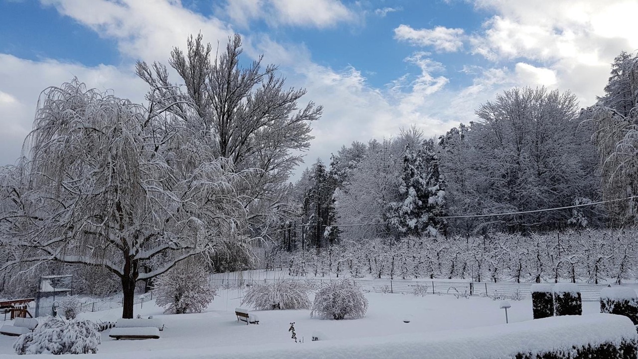 Photo of Outdoor in Naz Sciaves