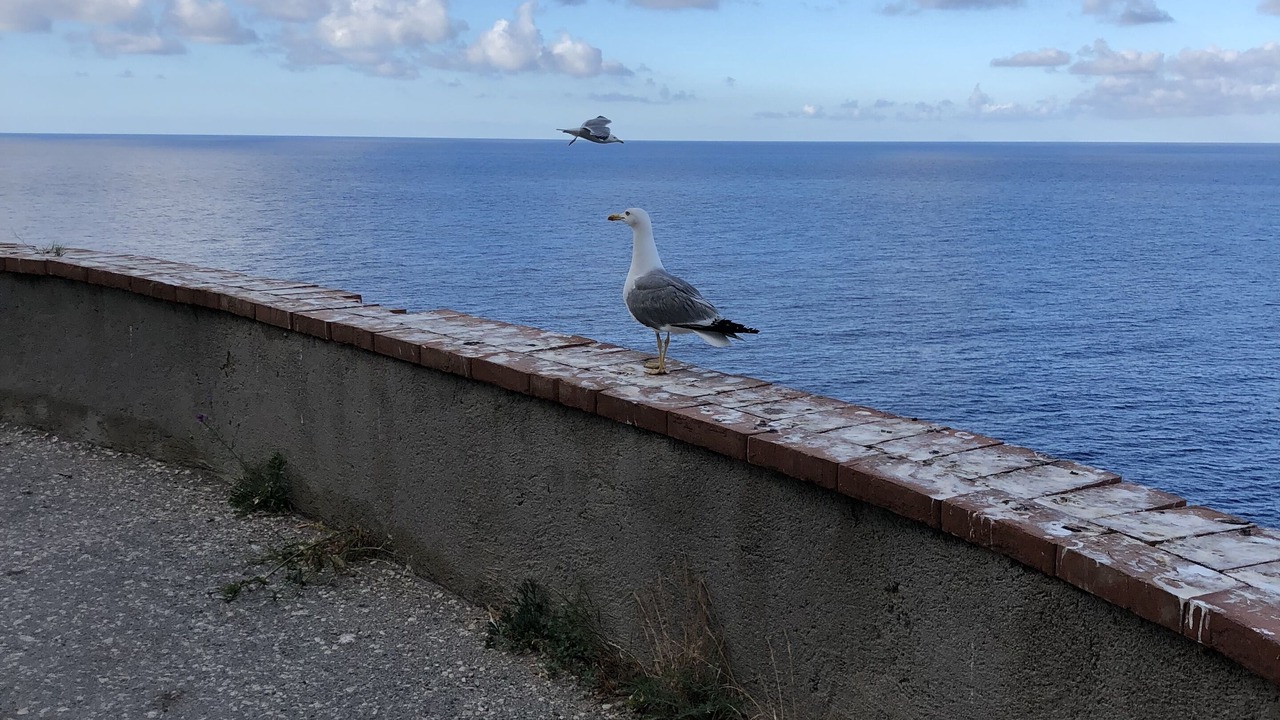 Photo of Others in Capo Zafferano