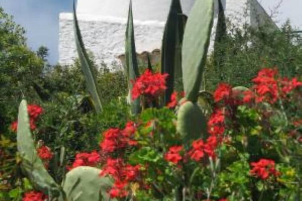 Photo of Outdoor in Ustica