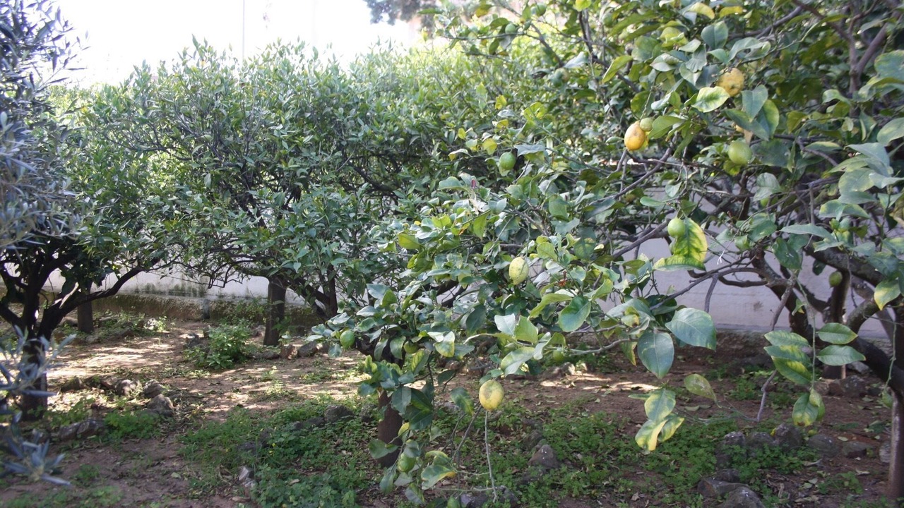 Photo of Outdoor in Trappeto