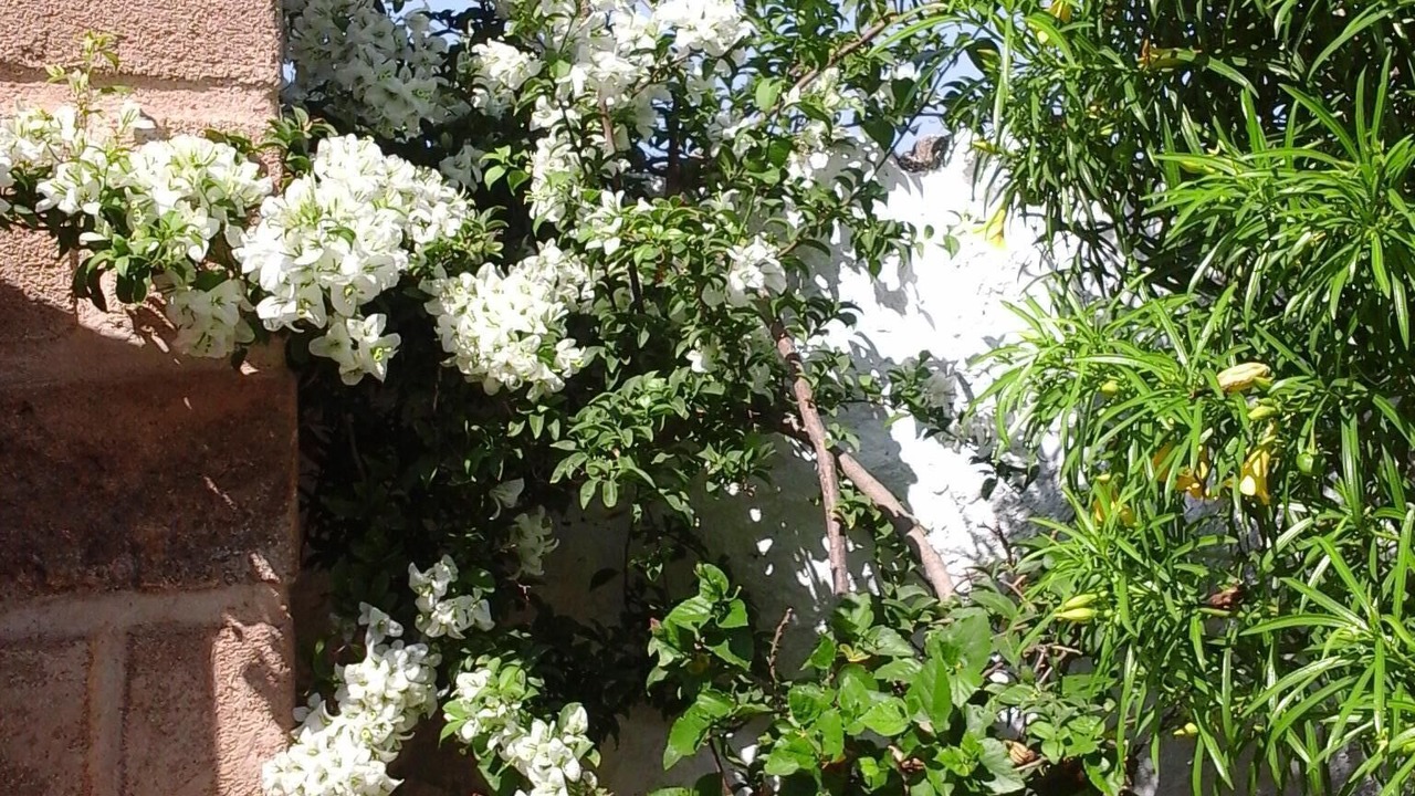 Photo of Outdoor in Favignana