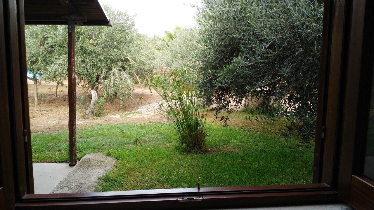 Photo of Others in Favignana