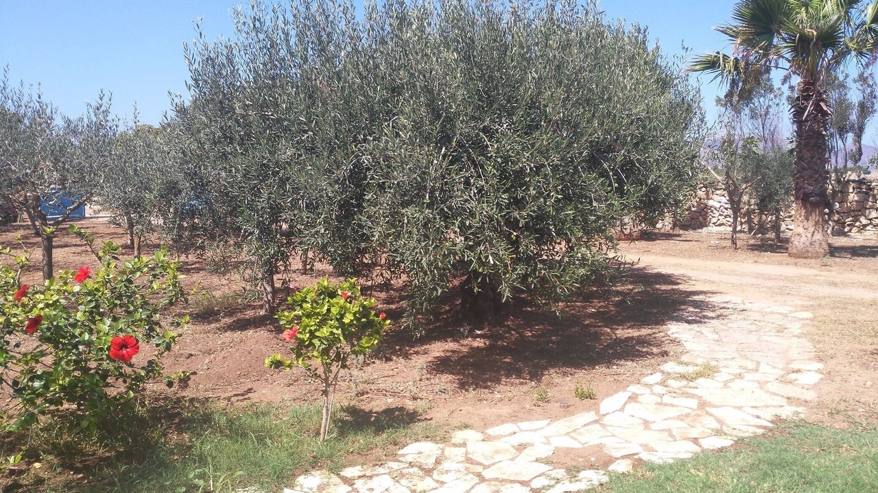 Photo of Outdoor in Favignana