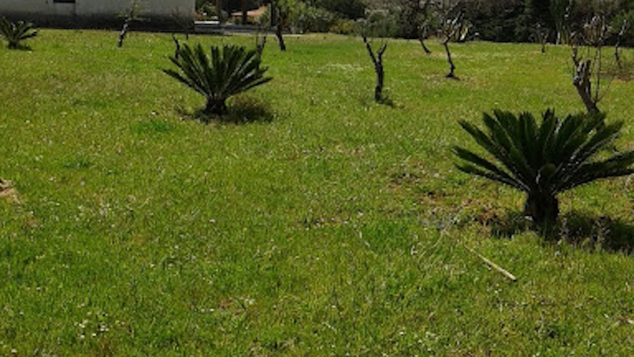 Photo of Outdoor in Borgo Bonsignore