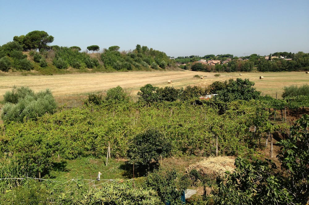 Photo of Others in Frattocchie