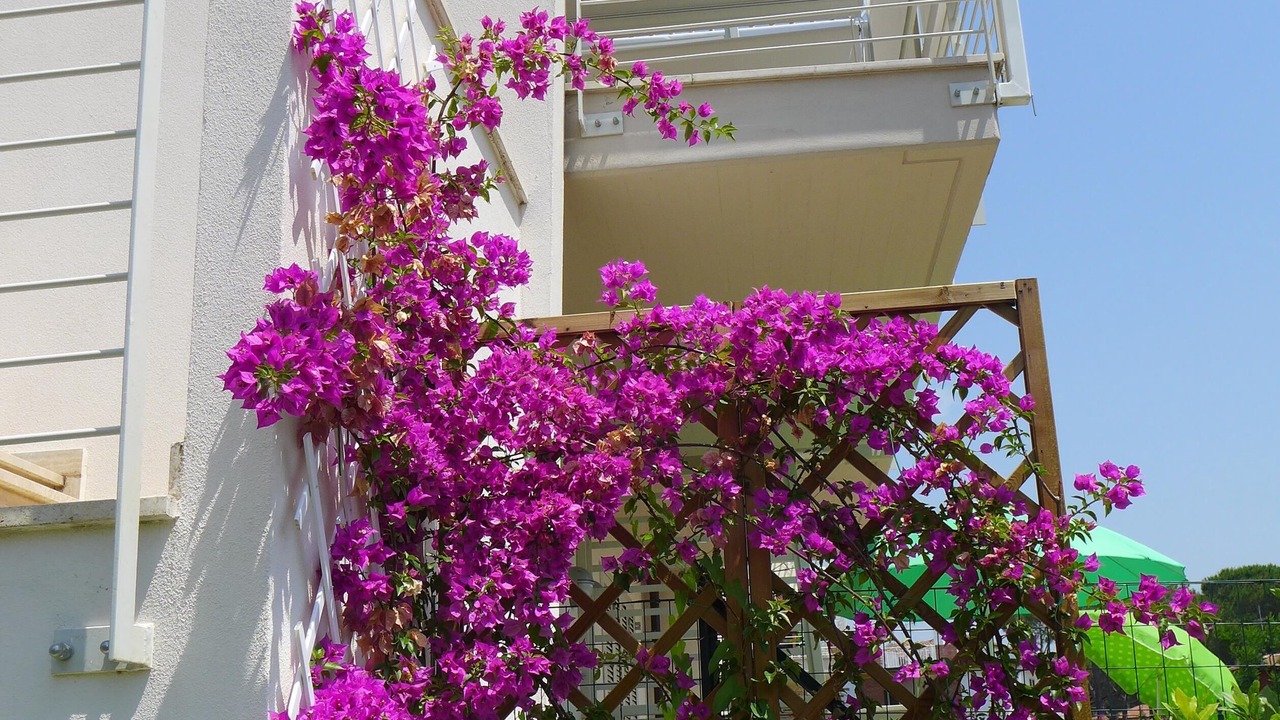Photo of Outdoor in Marina di Castagneto Carducci