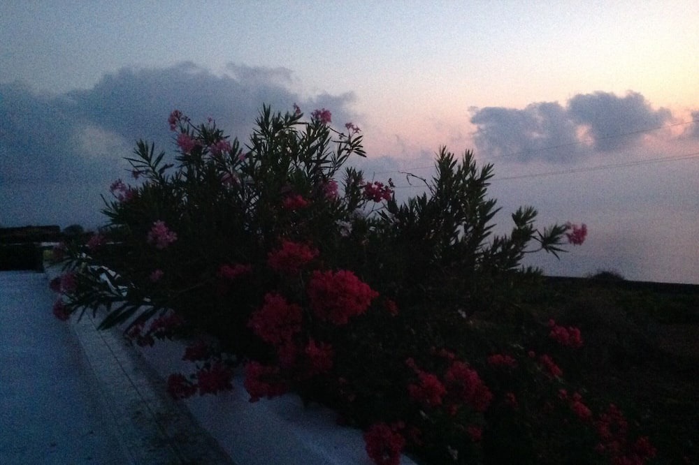 Photo of Outdoor in Pantelleria