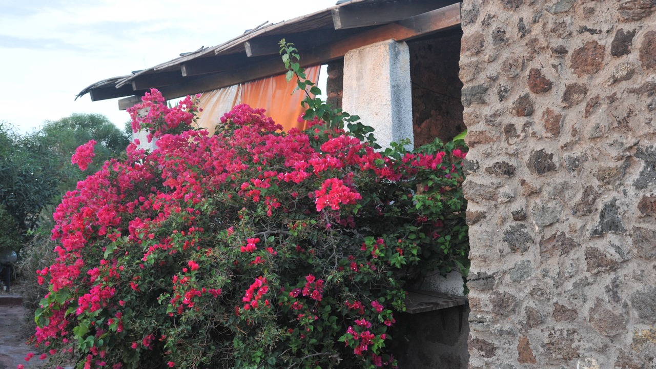 Photo of Outdoor in Pantelleria