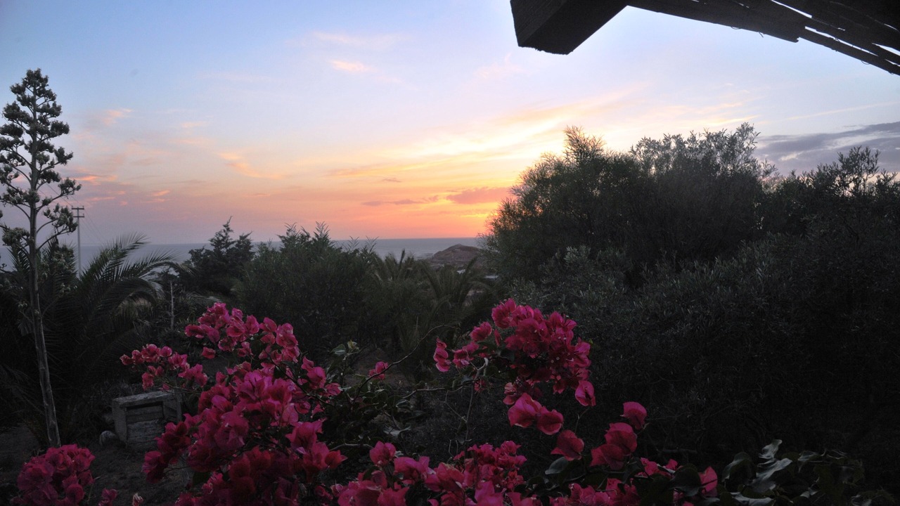 Photo of Outdoor in Pantelleria