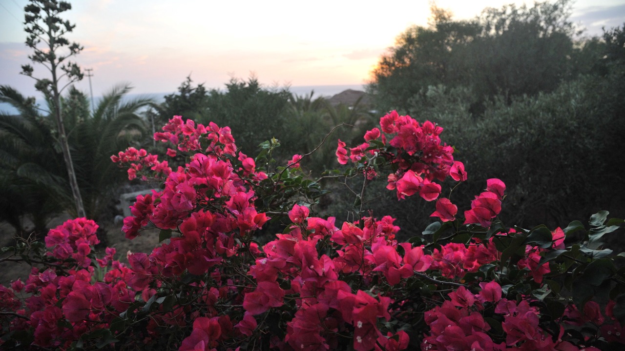 Photo of Outdoor in Pantelleria