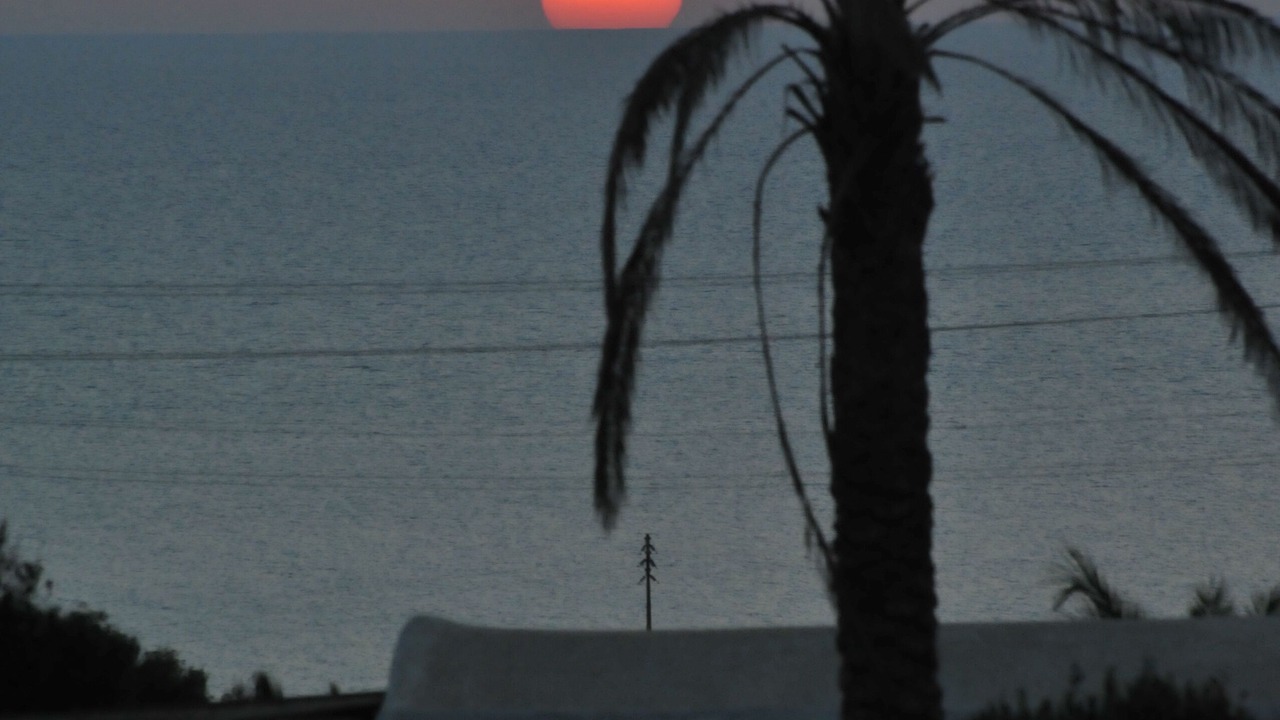Photo of Others in Pantelleria