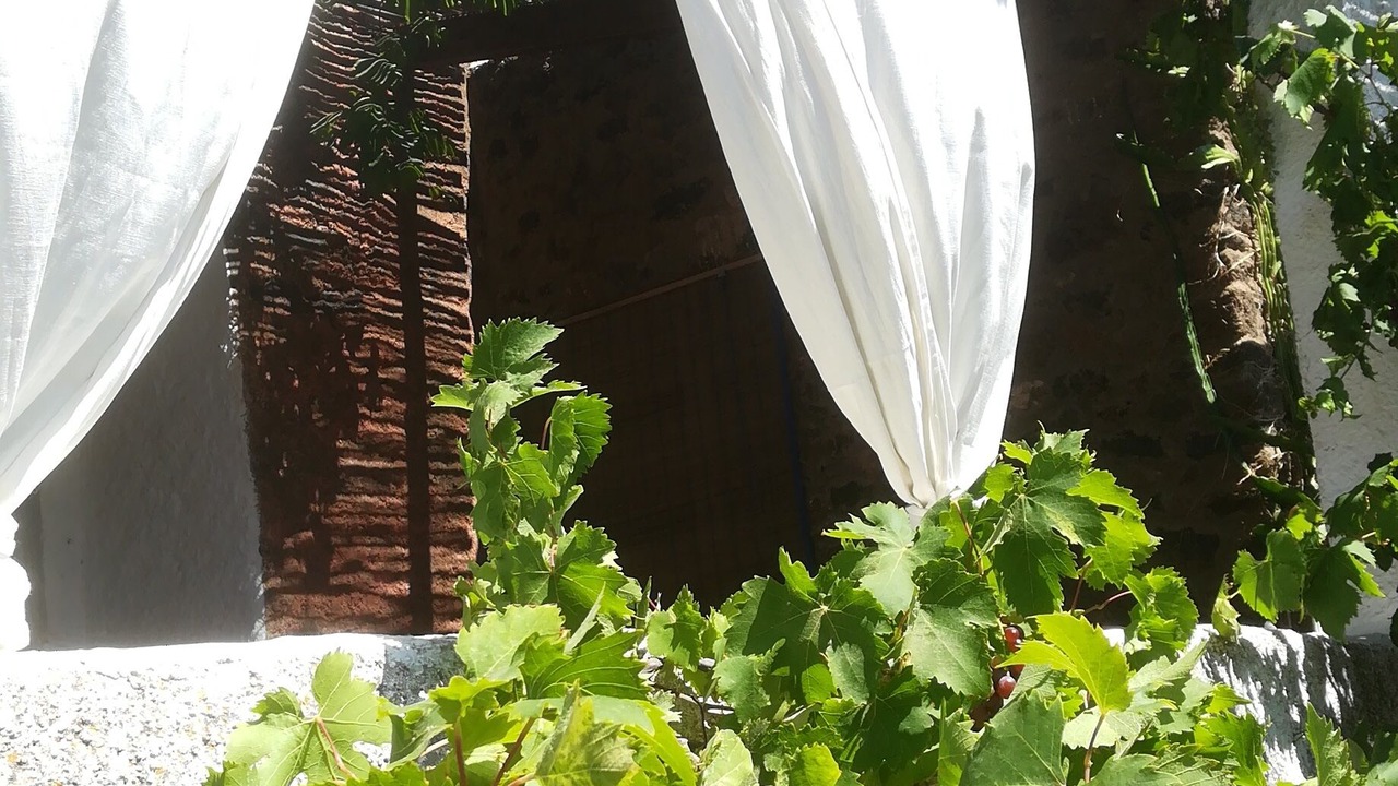 Photo of Outdoor in Pantelleria