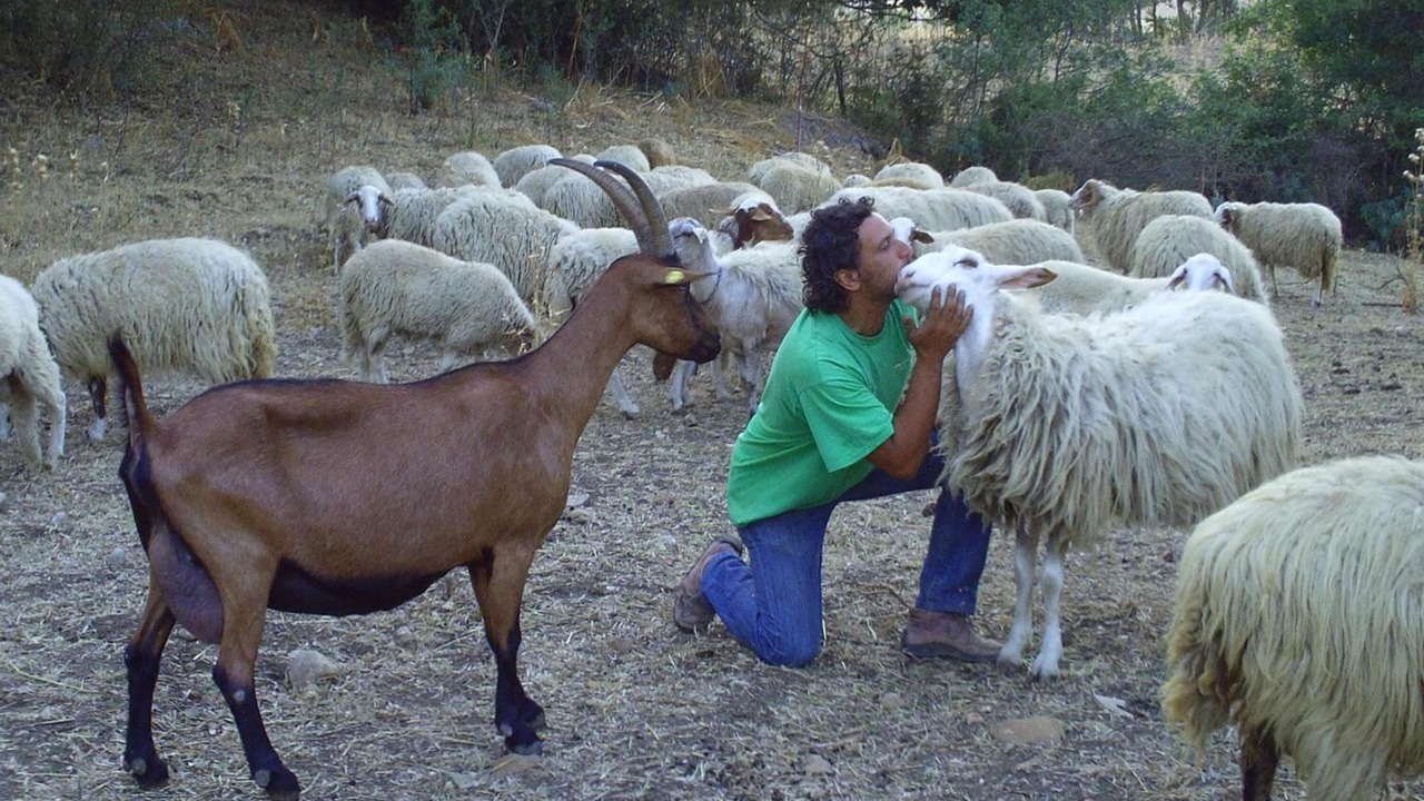 Photo of Outdoor in Gangi