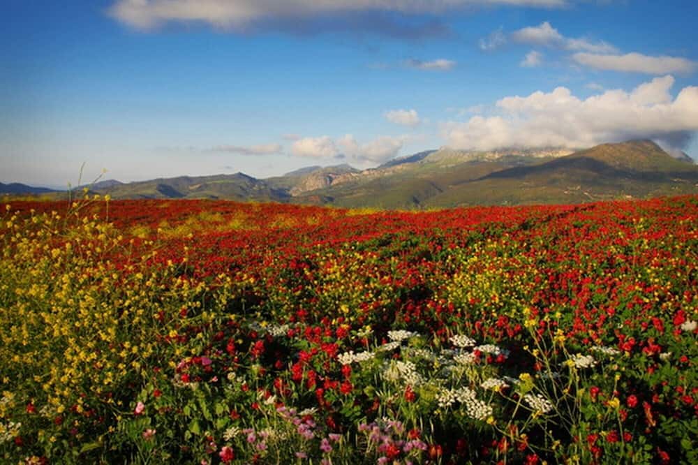 Photo of Outdoor in Campofelice di Roccella
