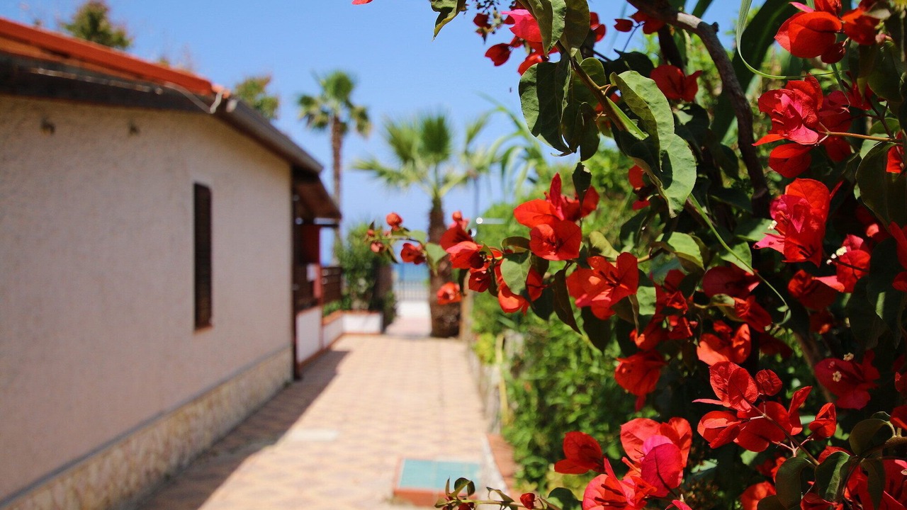 Photo of Outdoor in Solfarelli