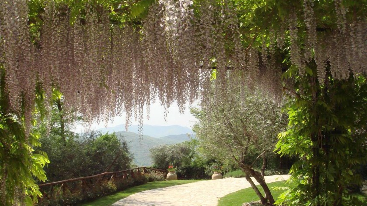 Photo of Outdoor in Cineto Romano