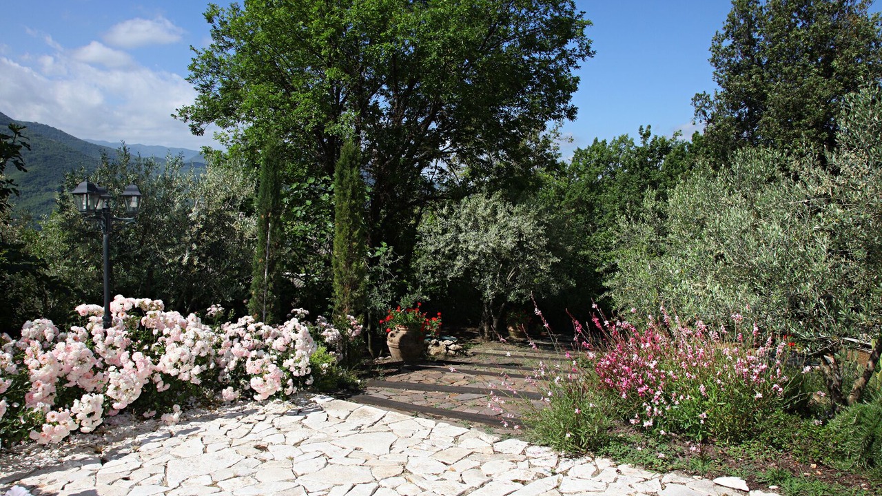 Photo of Outdoor in Cineto Romano