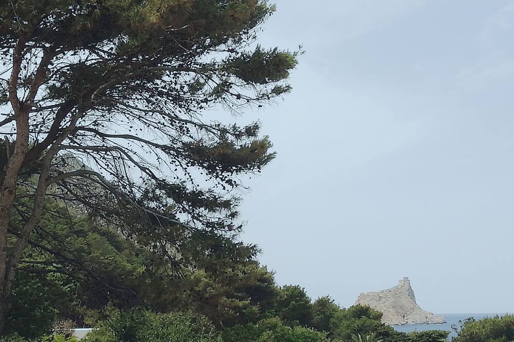 Photo of Others in Marettimo