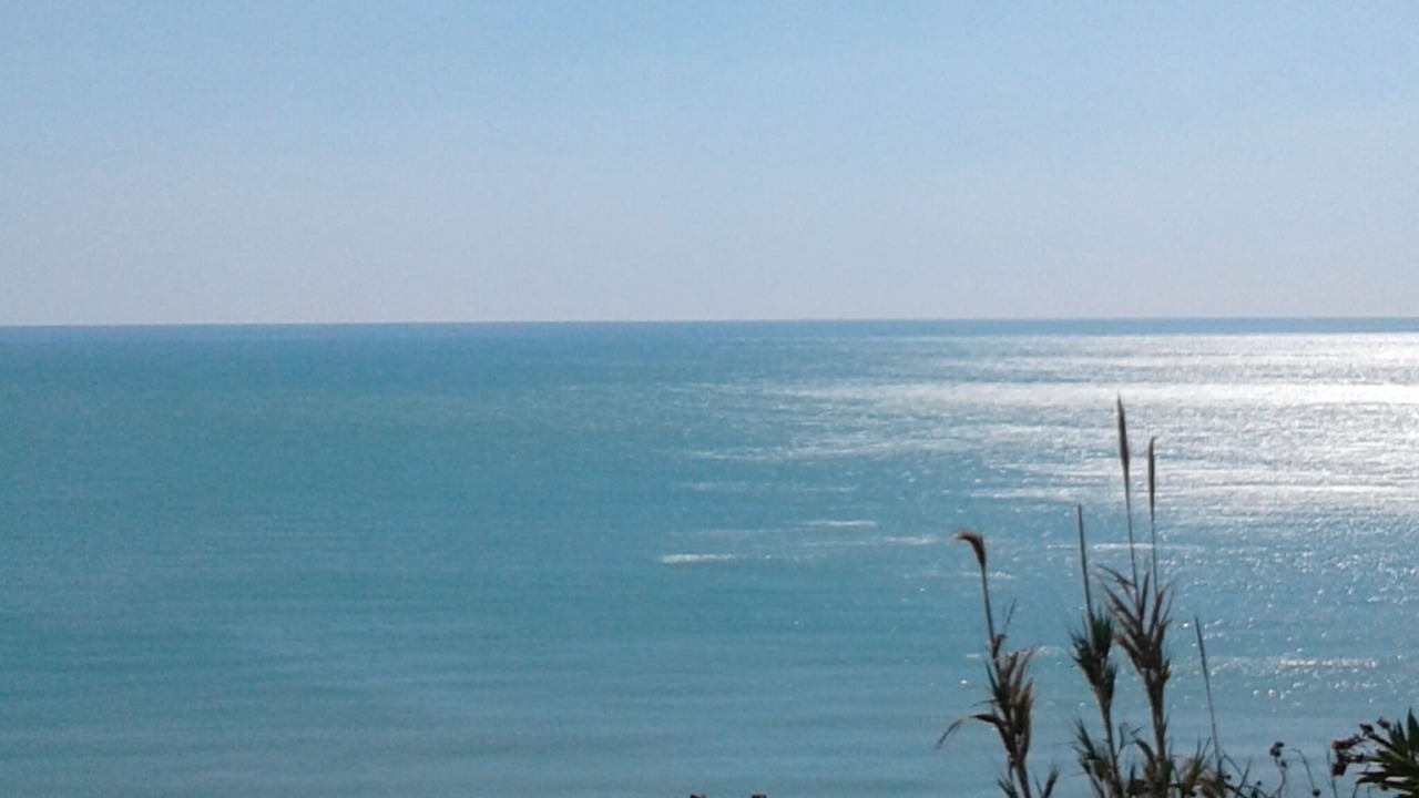 Photo of Others in Agrigento