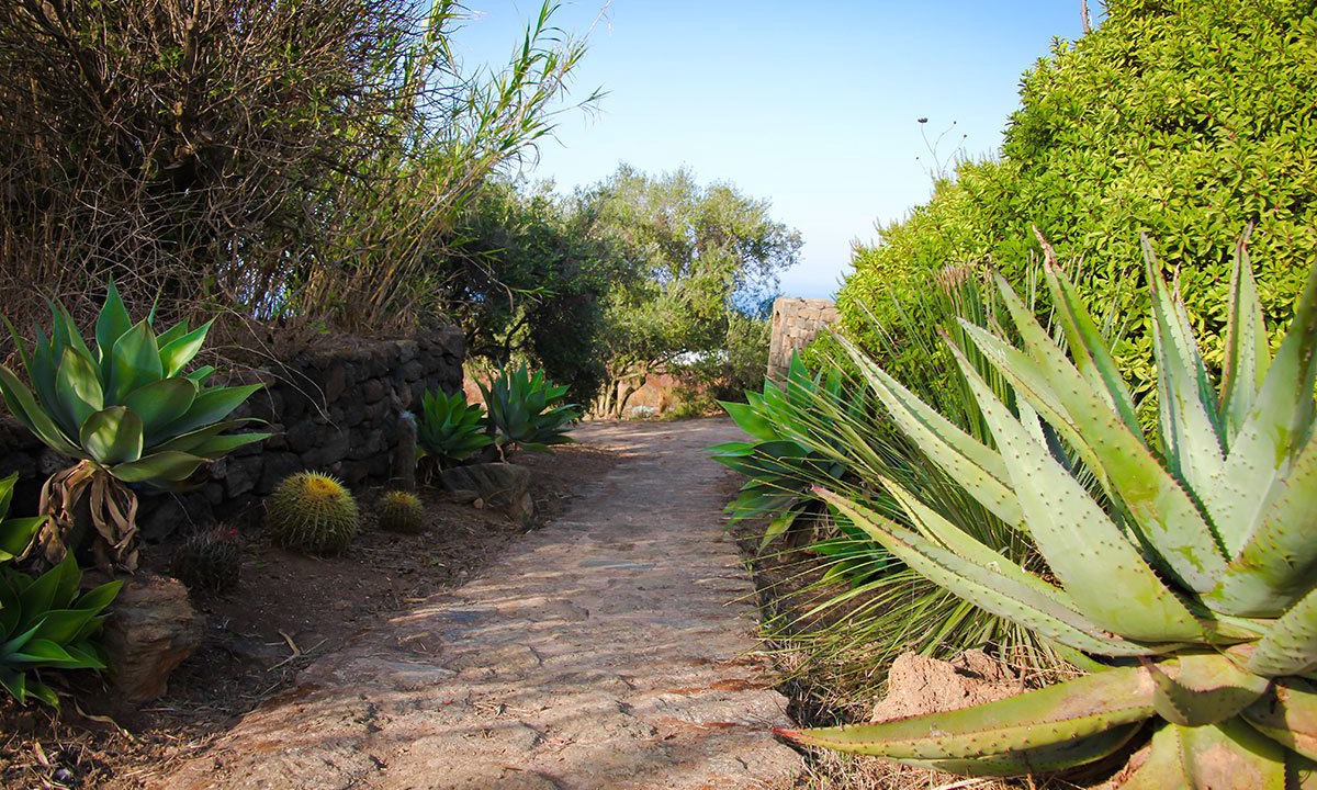 Photo of Outdoor in Pantelleria