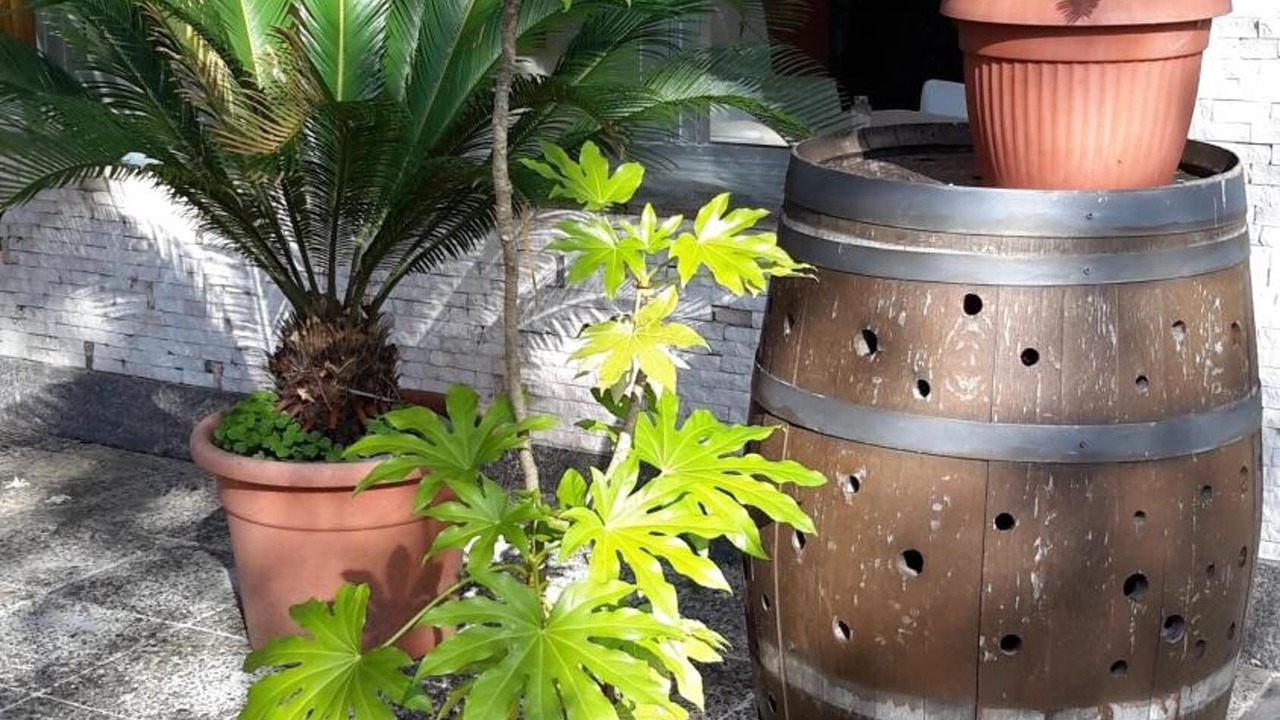 Photo of Outdoor in Cannobio