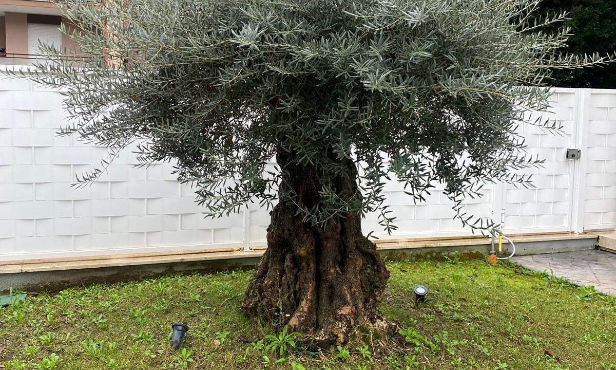 Photo of Outdoor in Latina