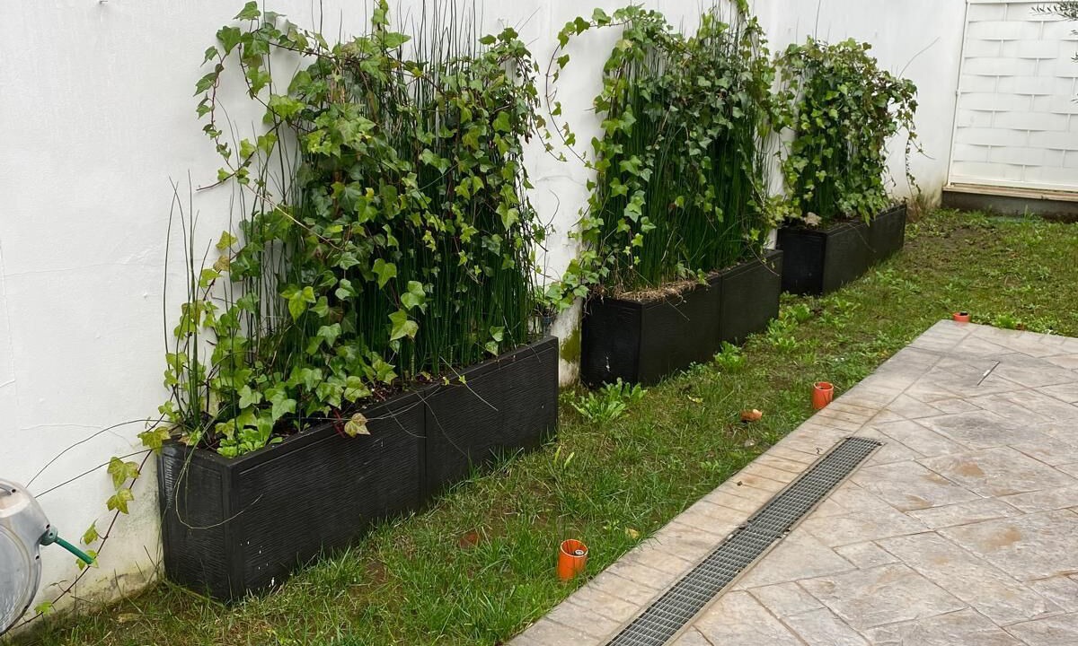 Photo of Outdoor in Latina