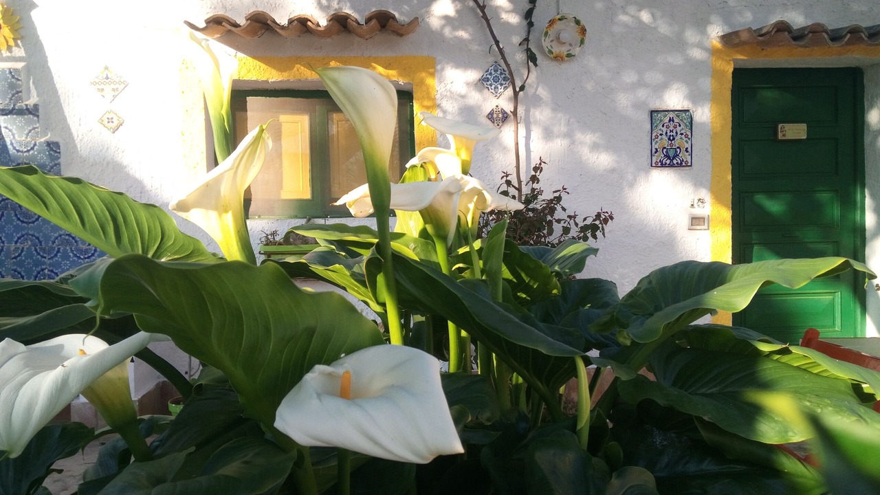 Photo of Outdoor in Marsala
