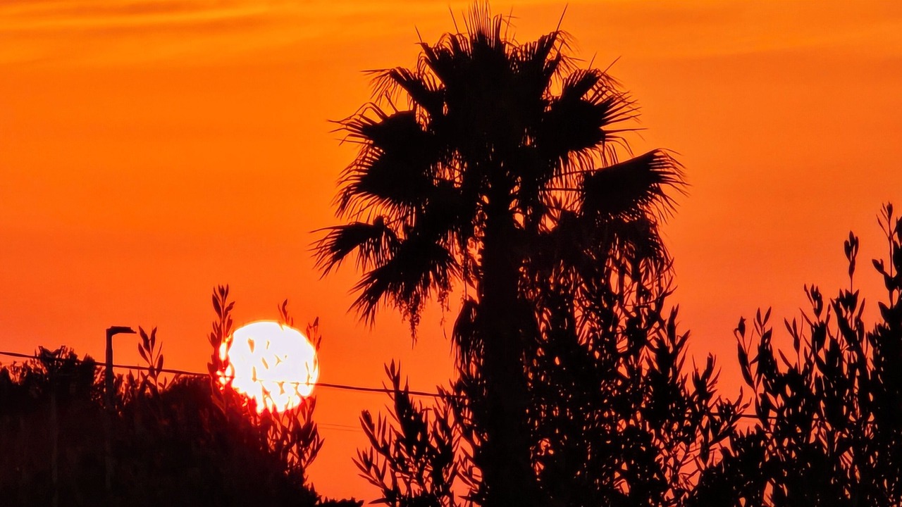 Photo of Others in Marsala