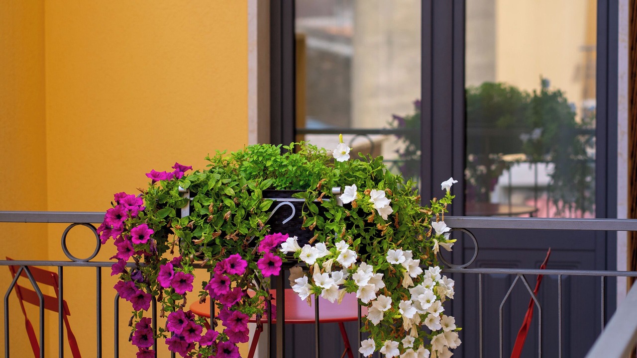 Photo of Outdoor in Coste